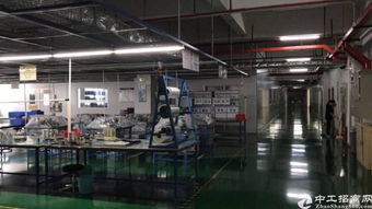 鳳崗鎮布心新出無塵車間3200平方